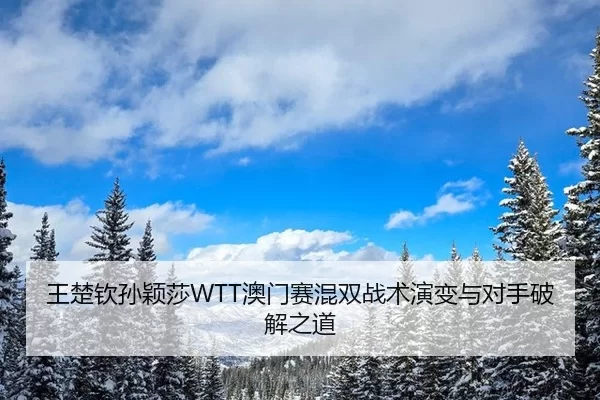 王楚钦孙颖莎WTT澳门赛混双战术演变与对手破解之道
