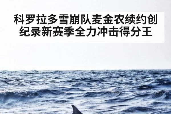 科罗拉多雪崩队麦金农续约创纪录新赛季全力冲击得分王